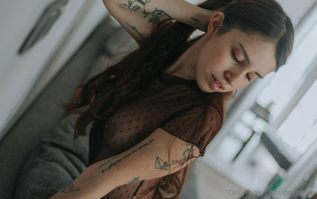 prinsexh high quality star gallery