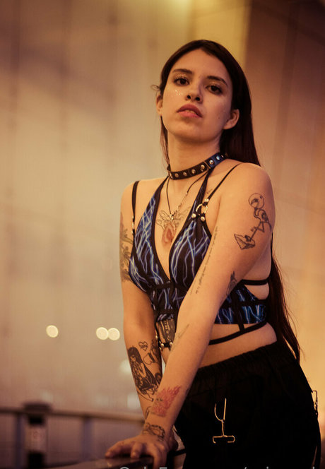 prinsexh hd model archive