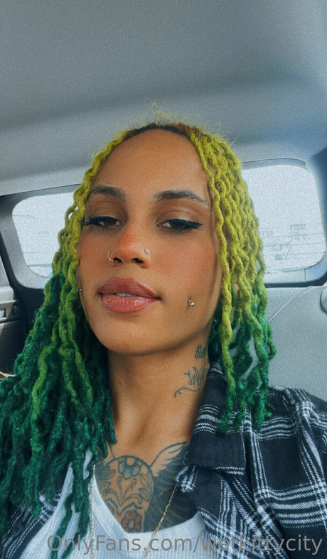 wetkittycity model top img