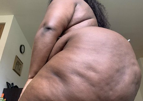 phat ass phoebe profile image