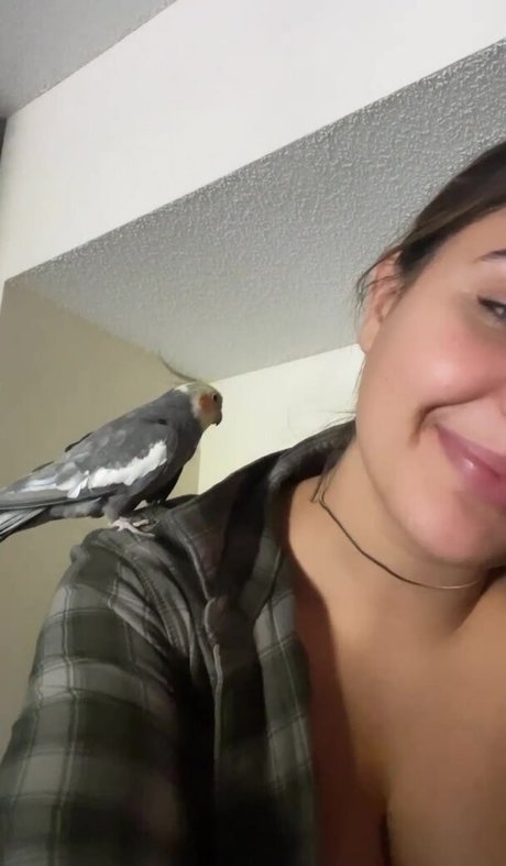 Amber Montana best actress gallery