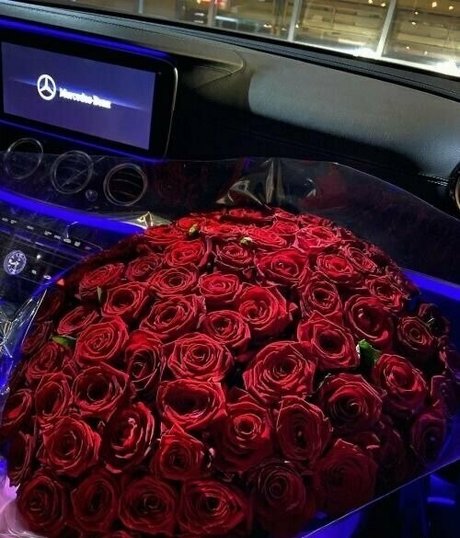 sophialauder star best photos