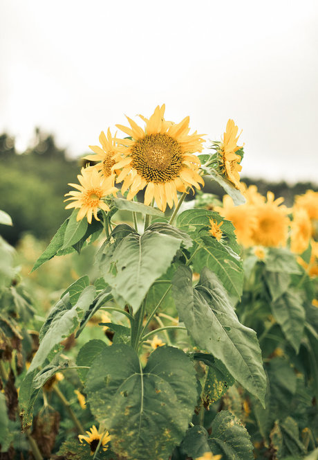 black hair milf onlyfans beautiful pic