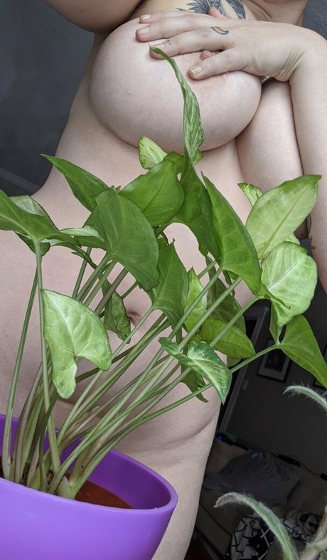 live streaming onlyfans hot nude pic