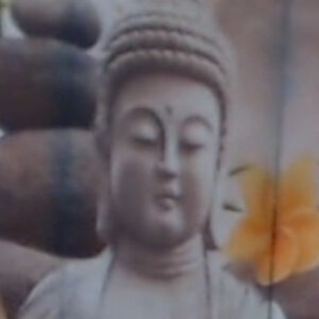 pruckute star xxx picture