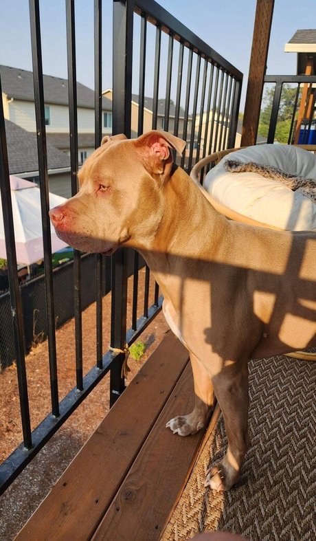 S and K top pornstar pics