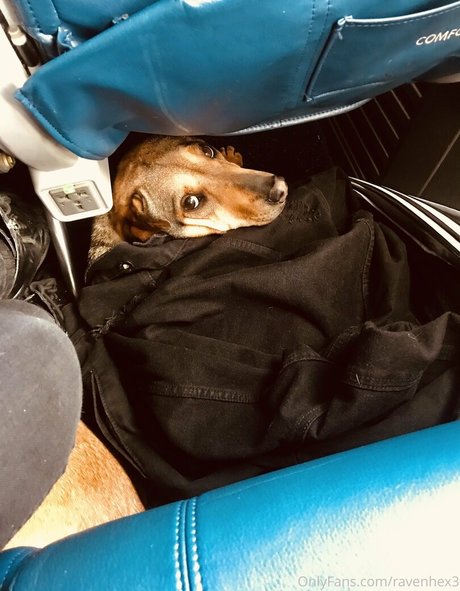 ravenhex3 star erotic gallery