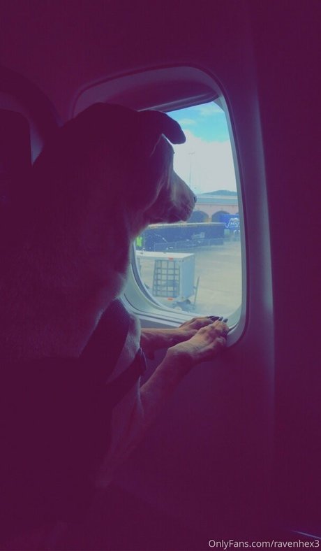 ravenhex3 nice star picture