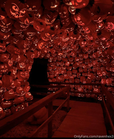 ravenhex3 profile image