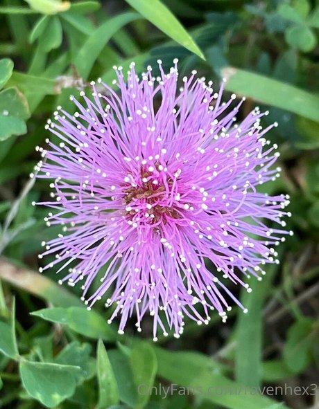 ravenhex3 model hot photos