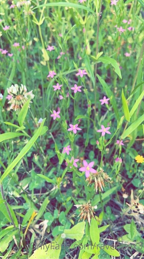 skinny teen big tits onlyfans beautiful naked gallery