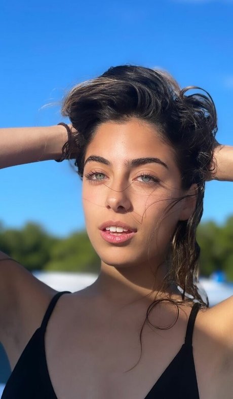 druflecha model archive