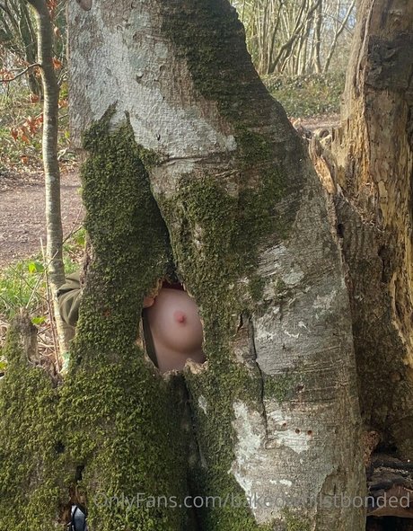 Bakedwhilstbonded pornstar nudes image