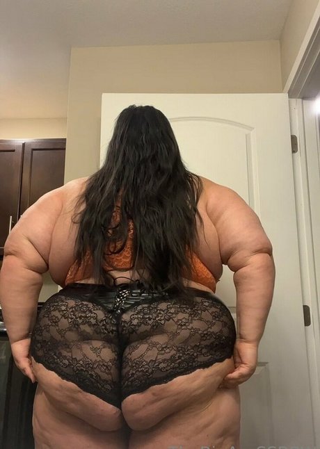 thebigassssbbw1 beautiful pornstar galleries