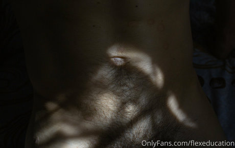 flexeducation hd model gallery