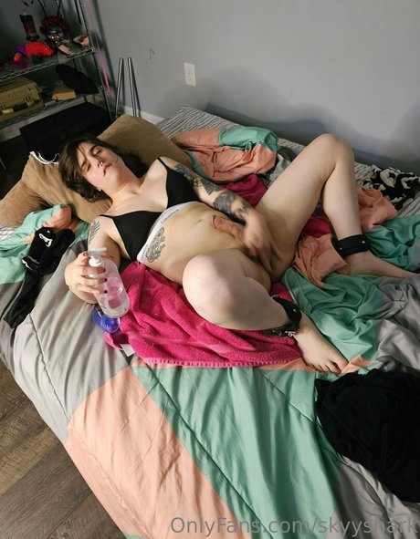 skyyshark star pornographic img