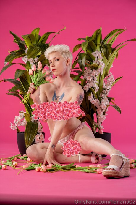 hanari502 nice actress img