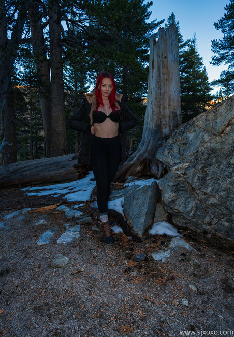 sjxoxofree nude star img