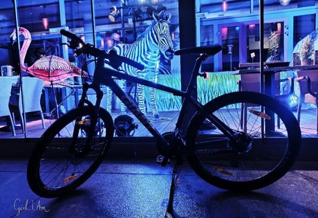 nikki gia vip profile image