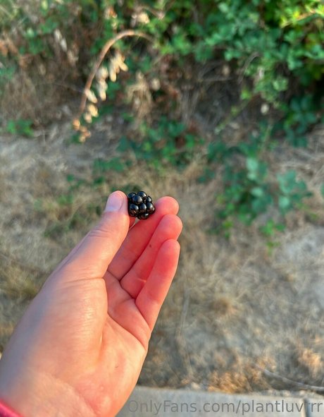 Plantluvrrr naked actress pictures