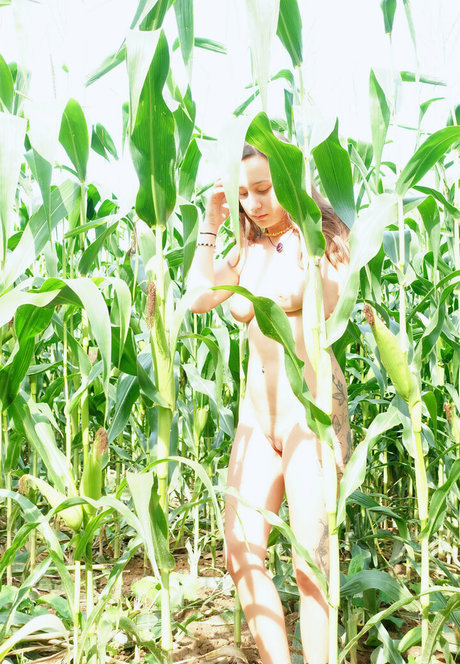 milavisions model free gallery