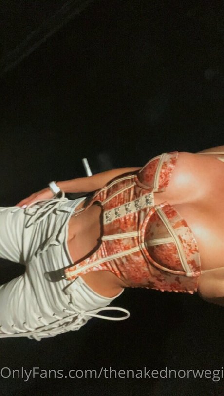 thenakednorwegian top profile image