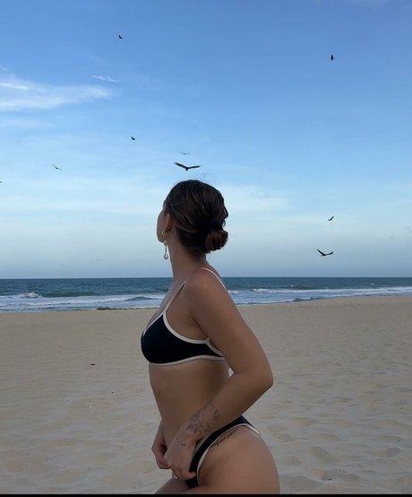 Gabi Stacenco star free photo