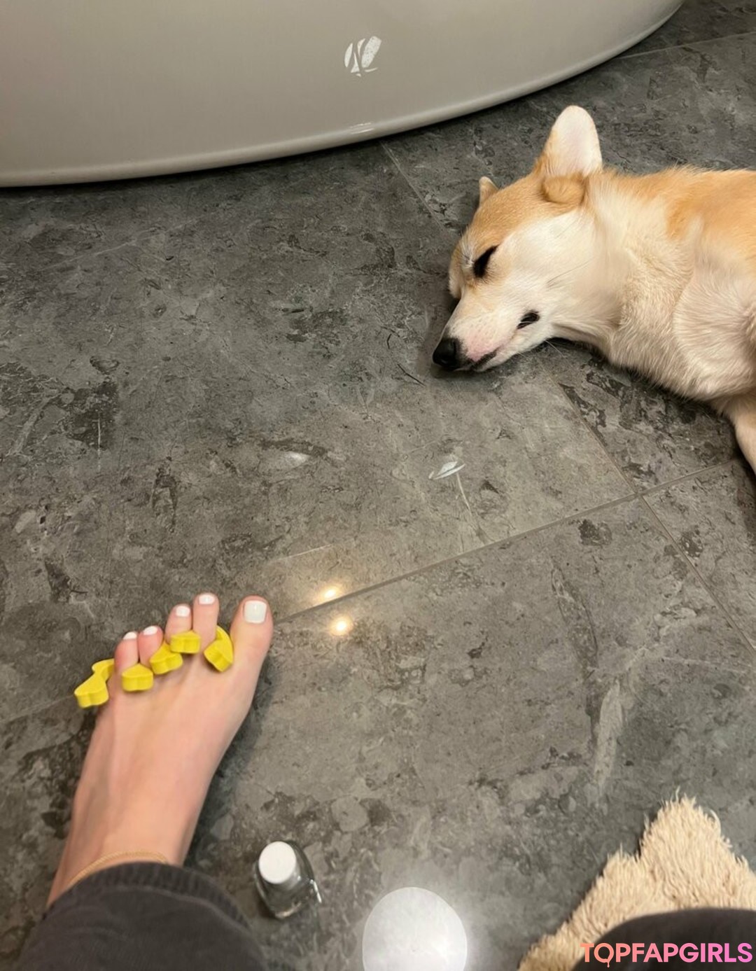 bellas paws hot actress image