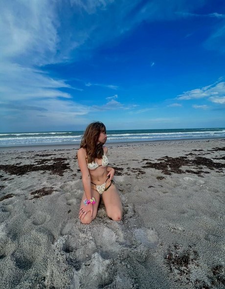 brycesgfelle nude star galleries