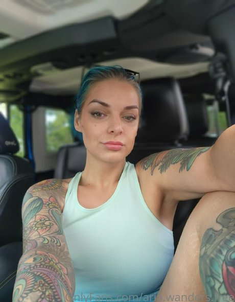 aria wanders free beautiful star galleries