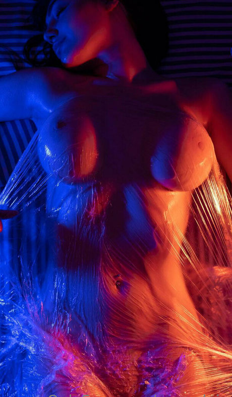 annyplein top profile image