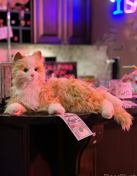 over 50 onlyfans hot nude archive