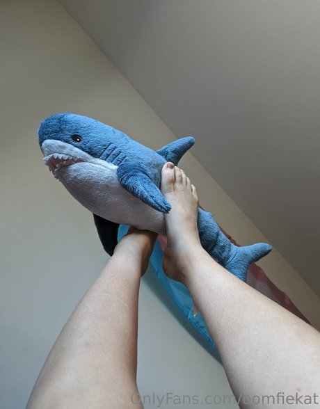 oomfiekat star perfect image