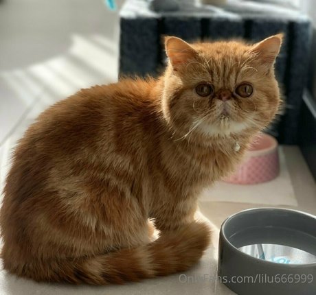 daddy princess onlyfans sexy naked img