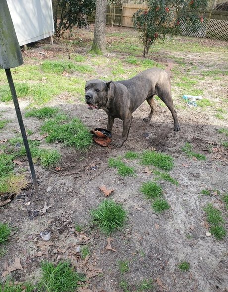 amateur wife onlyfans erotic image