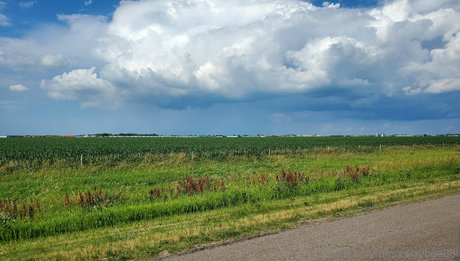 porn star free onlyfans porn image