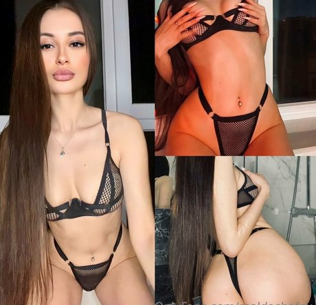 realdashafox star hd galleries