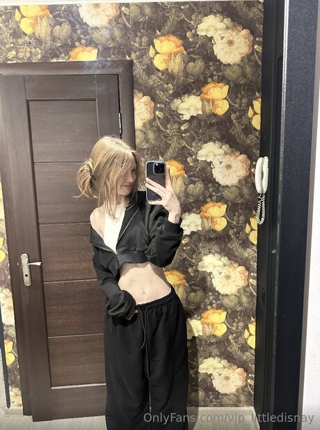 vip littledisnay star hot image