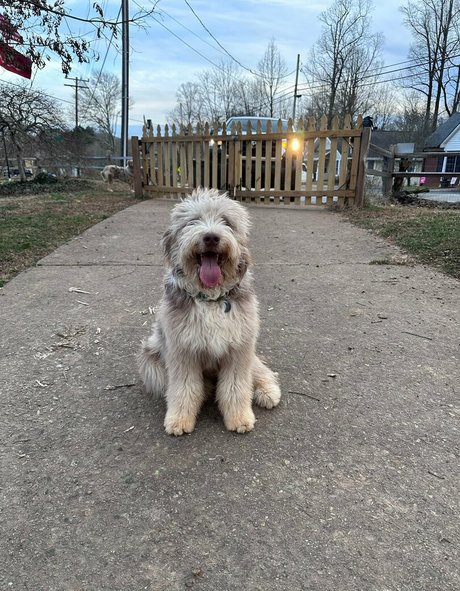 mature blonde onlyfans beautiful photo