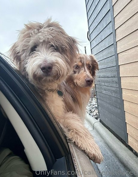 asian influencer onlyfans free naked img