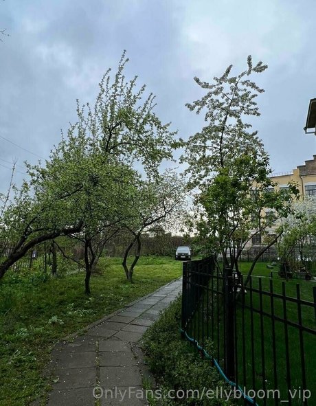 gallega onlyfans free porn photo