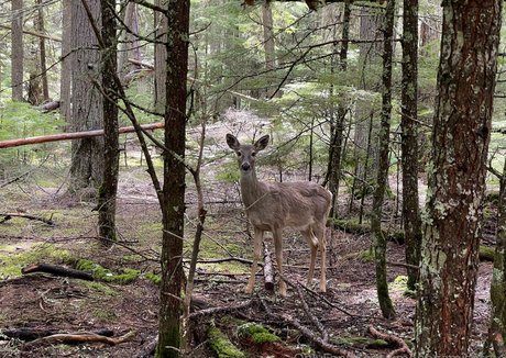 kmonogamishfree pornstar art pictures