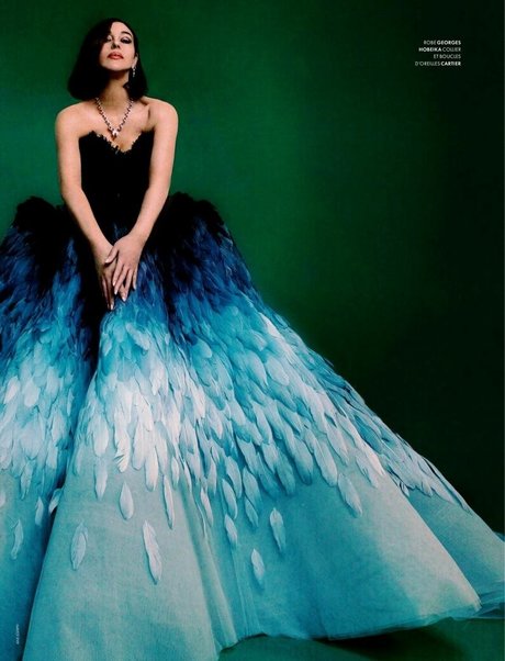 Monica Bellucci sex model image