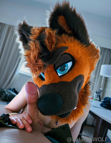 palacewolf nice pornstar picture