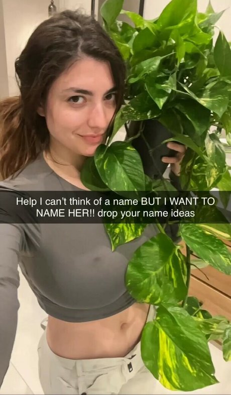 Rachel Levin star nude archive