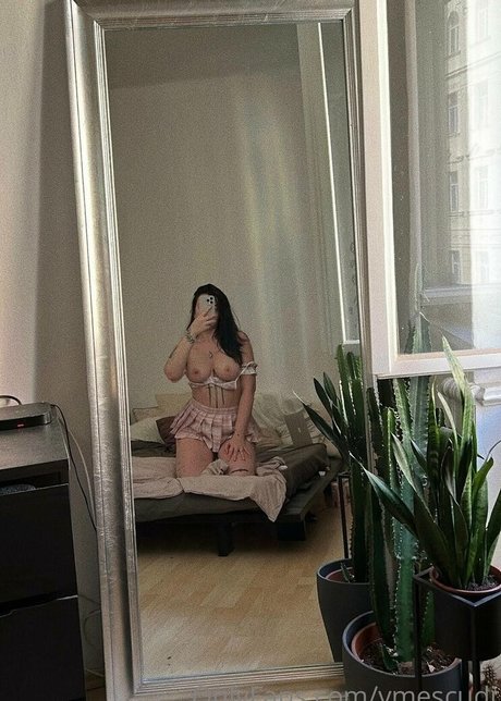 vmescudi free model img