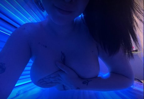 vmescudi star pretty picture