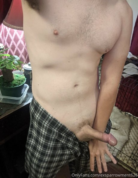 exsparrowment626 erotic pornstar archive