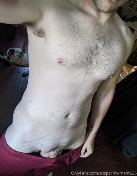 exsparrowment626 star nice archive