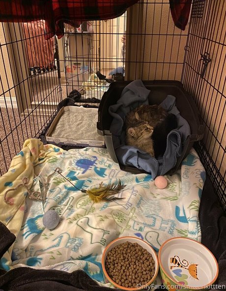 curvy lesbian onlyfans beautiful xxx pictures